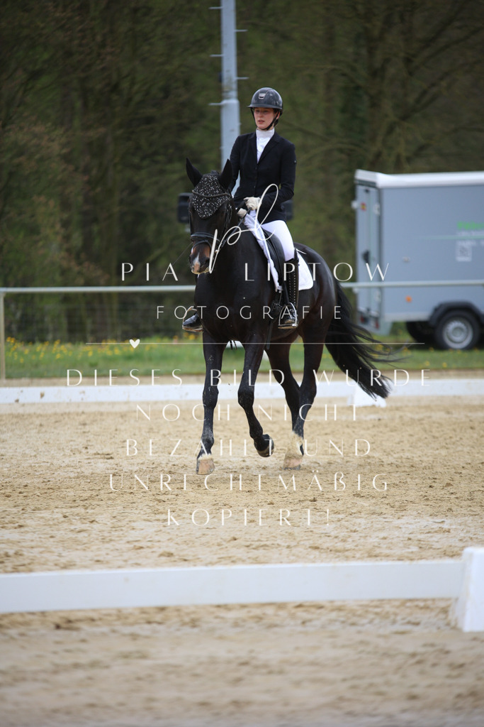 IMGT5942 | pl-fotografie