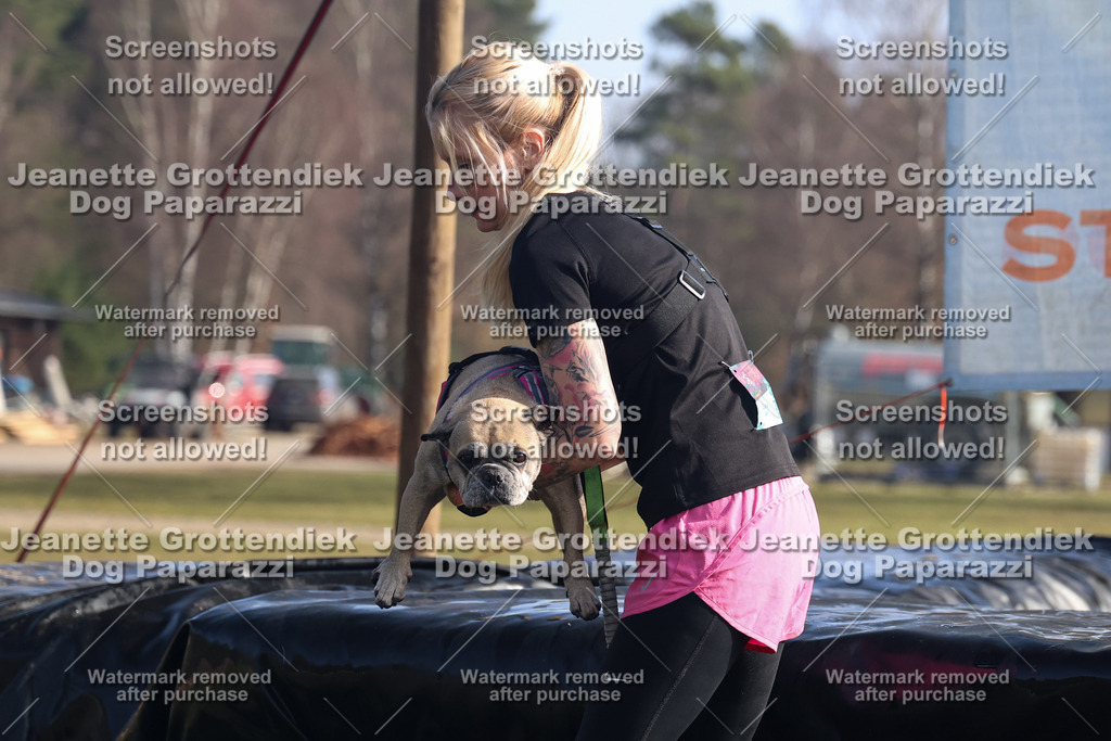 Dog Paparazzi - Strongdog North Mrz26-1104 | Dog Paparazzi Jeanette Grottendiek Fotografie & Videografie - Realisiert mit Pictrs.com