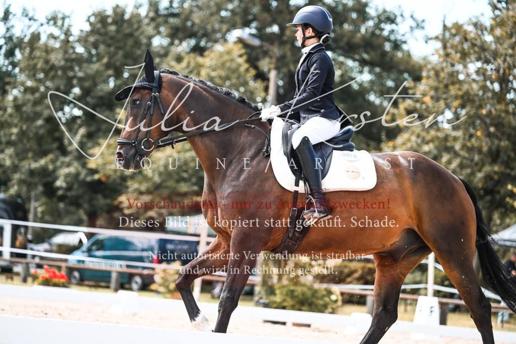 DSC_5773 | Pferde- und Turnierfotografie in Westsachsen. Pferdeportraits, Auftragszeichnungen und intuitive Kunst.