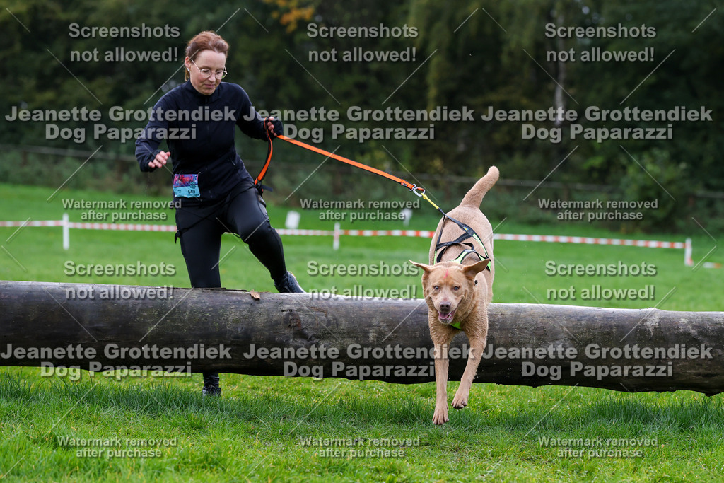 Dog Paparazzi -  SD1026-1199 | Dog Paparazzi Jeanette Grottendiek Fotografie & Videografie - Realisiert mit Pictrs.com