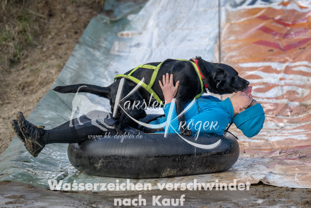 0956_ZZ92784 | kk-dogfotos