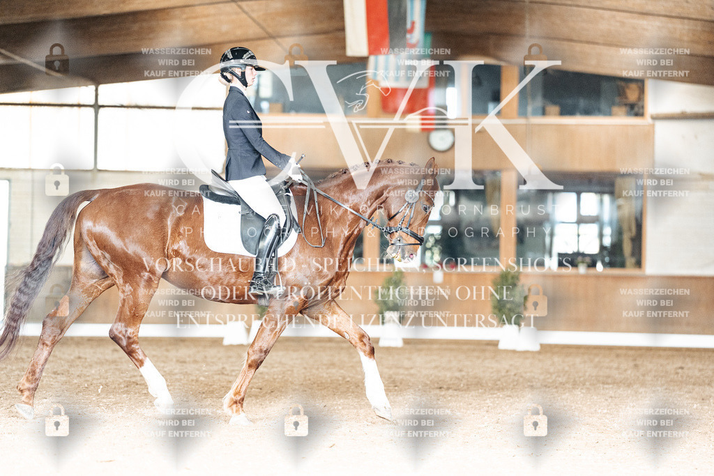 CK902393 | Turnierfotografie Pferdefotografie Trier Rheinland-Pfalz Pferdesport Reitsport Tierfotografie Sportfotografie Pferdevideo Pferdevideografie Equestrianvideography equestrianphotography  - Realisiert mit Pictrs.com