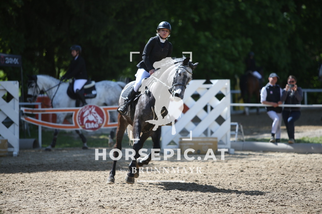 PP011736 | Willkommen bei Brunnmayr - Design & Fotografie – Ihrem Spezialisten für Reitturniere und Pferdeveranstaltungen in Oberösterreich, Salzburg und Bayern! Seit über 17 Jahren sind wir leidenschaftlich dabei.