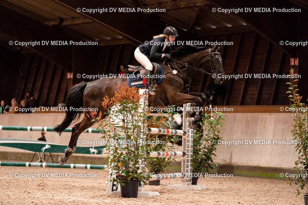 Springen Tag 1-508 | dv-media-shop - Realisiert mit Pictrs.com