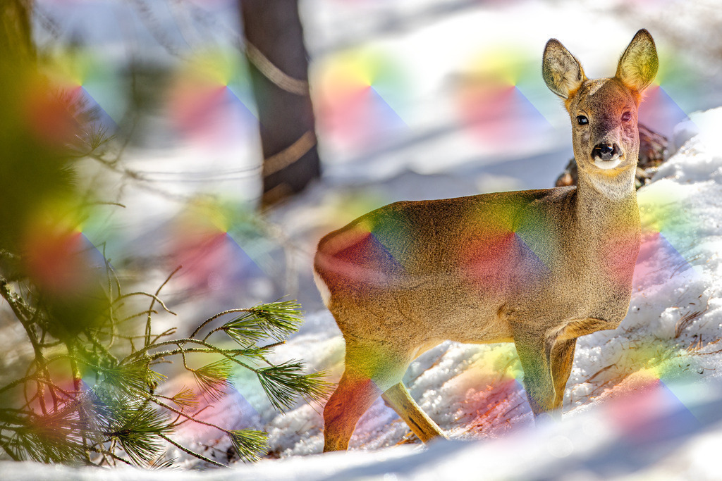 1M5A2585 | FineArtPrint, Hahnemühle, FeeGalerie, Fee Galerie, Fotokunst, Fotografie, Canonphotography, Bergfoto, Matterhorn, Rimpfischhorn, Allalinhorn, Saas-Fee, Wallis, Valais, Switzerland, Bergfotografie