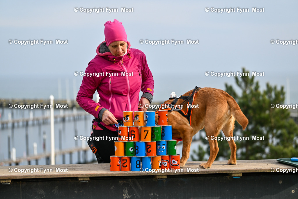 DSC_6481 | Hallo und herzlich Willkommen auf meiner Shop-Seite Fynn Most.

Ich wünsche Dir viel Spaß beim stöbern durch die Bilder, wenn Du Fragen hast oder Bilder vermisst, kannst du mir gerne eine Nachricht schreiben. - Realisiert mit Pictrs.com