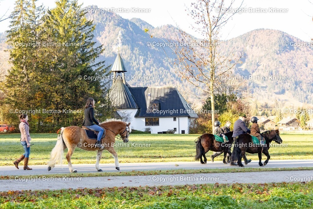 LL24-372 | foto-bettina-krinner - Realisiert mit Pictrs.com