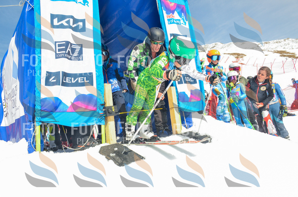 _ELE6364 | holidayphoto