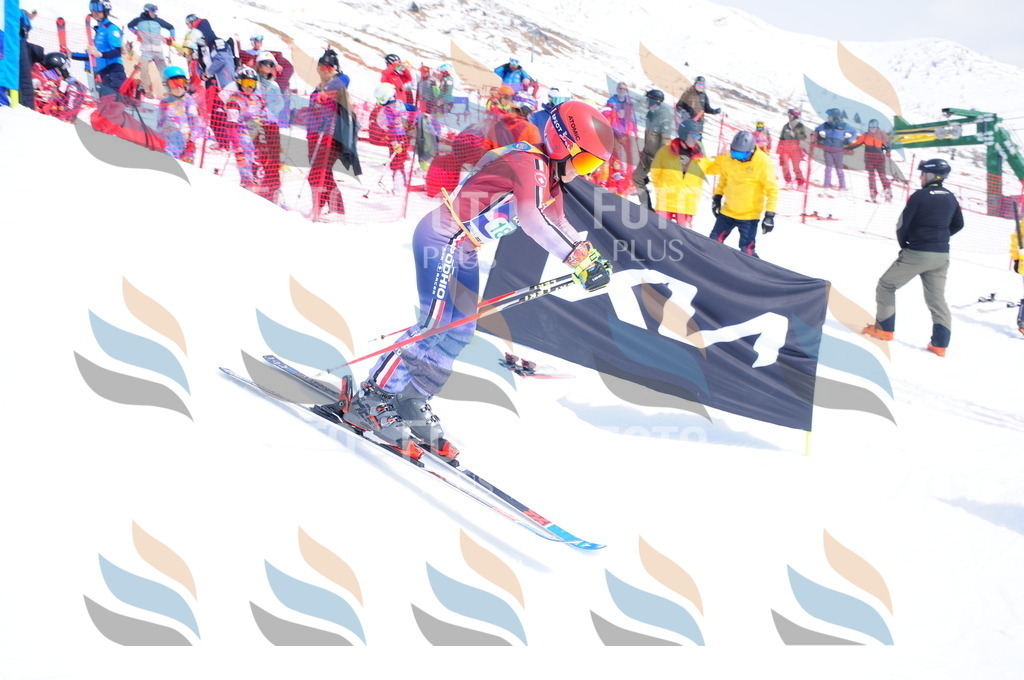 DSC_1670 | holidayphoto