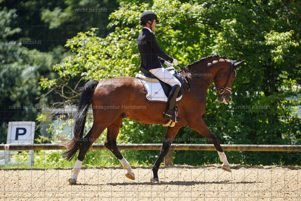 20240705-FAH03512 | Turnierbilder von Grafing, Reitsportbilder, Turnierfotos, Turnierfotografen Bayern, Pferdefotograf, Fotoagentur Herrmann