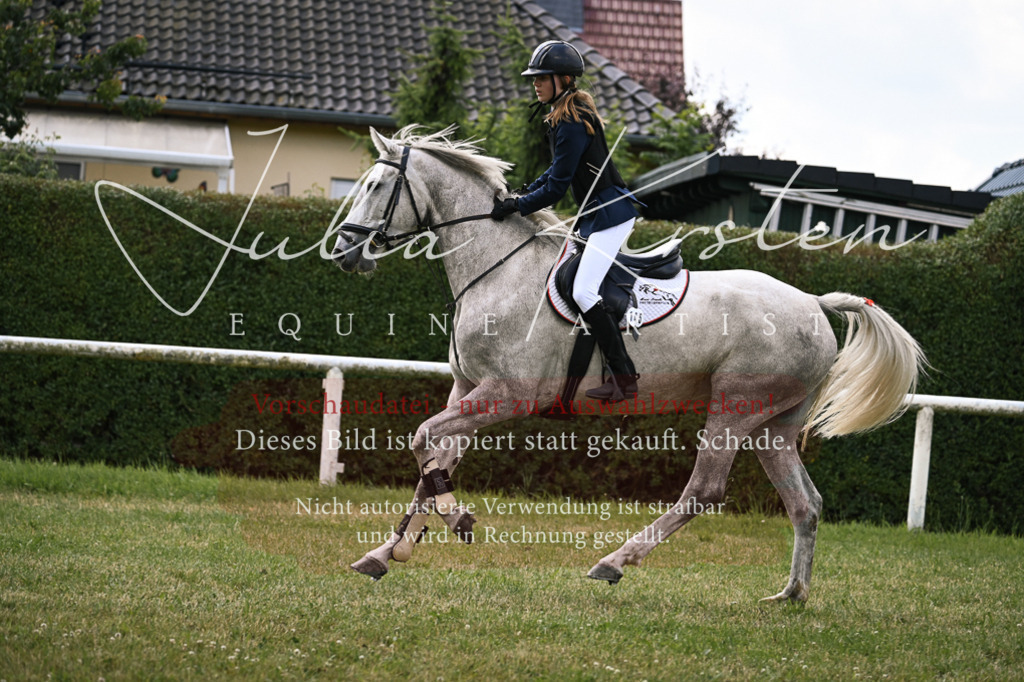 DSC_9296 | Pferde- und Turnierfotografie in Westsachsen. Pferdeportraits, Auftragszeichnungen und intuitive Kunst.