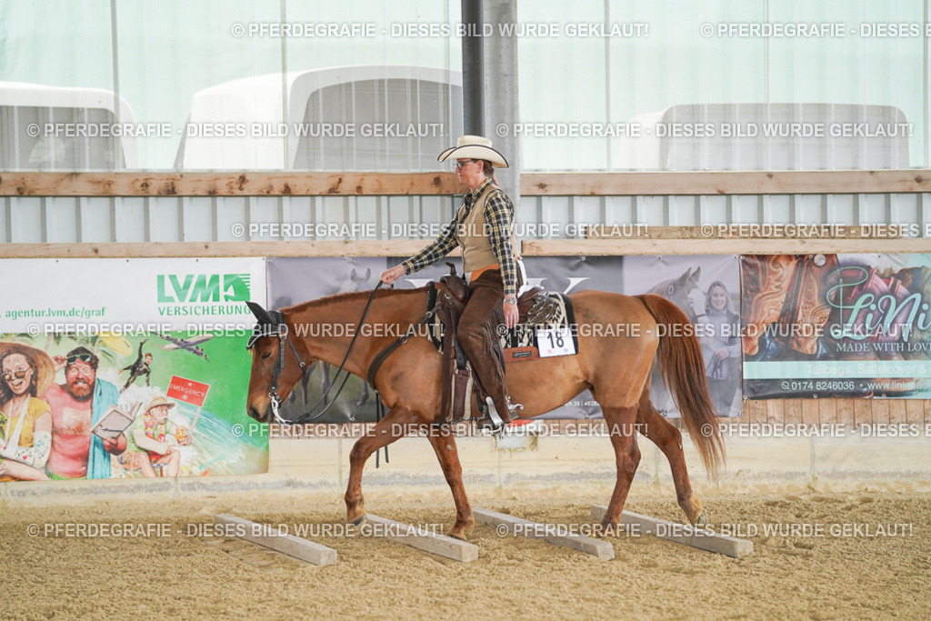 DSC03120 | Pferdegrafie