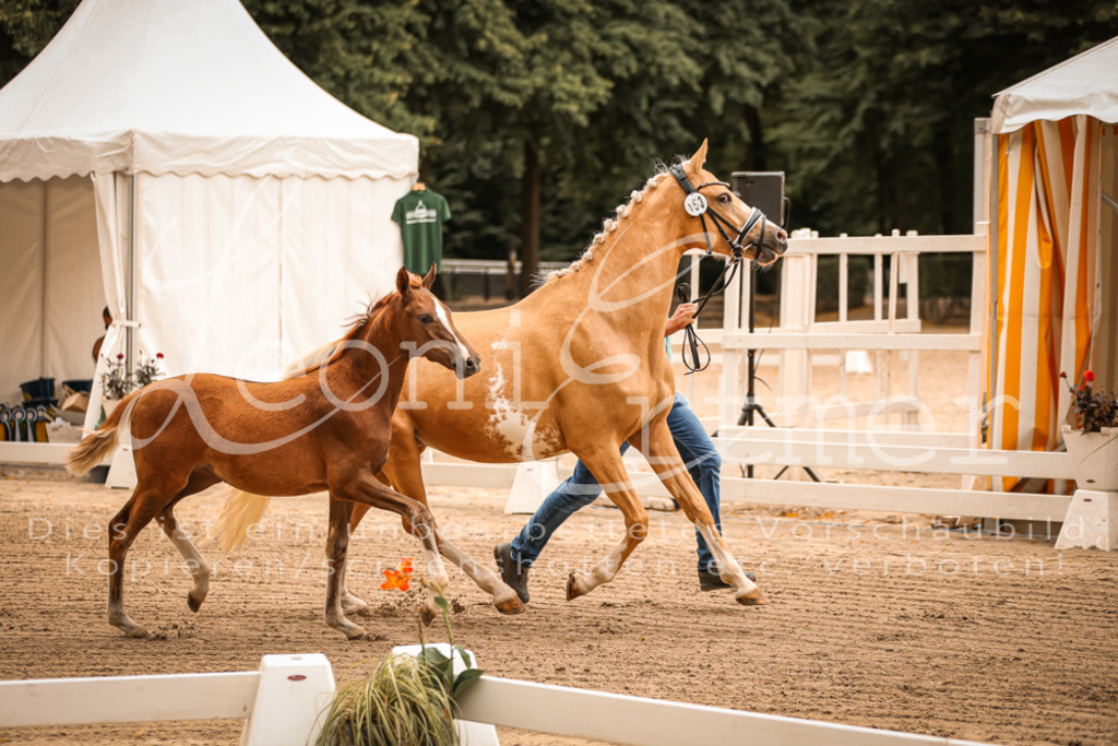 07.So00061 | Leoni Ertmer Photography - Realisiert mit Pictrs.com