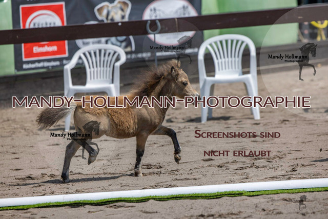 Fiesoythe RR-4 | mandyhollmannphotographie