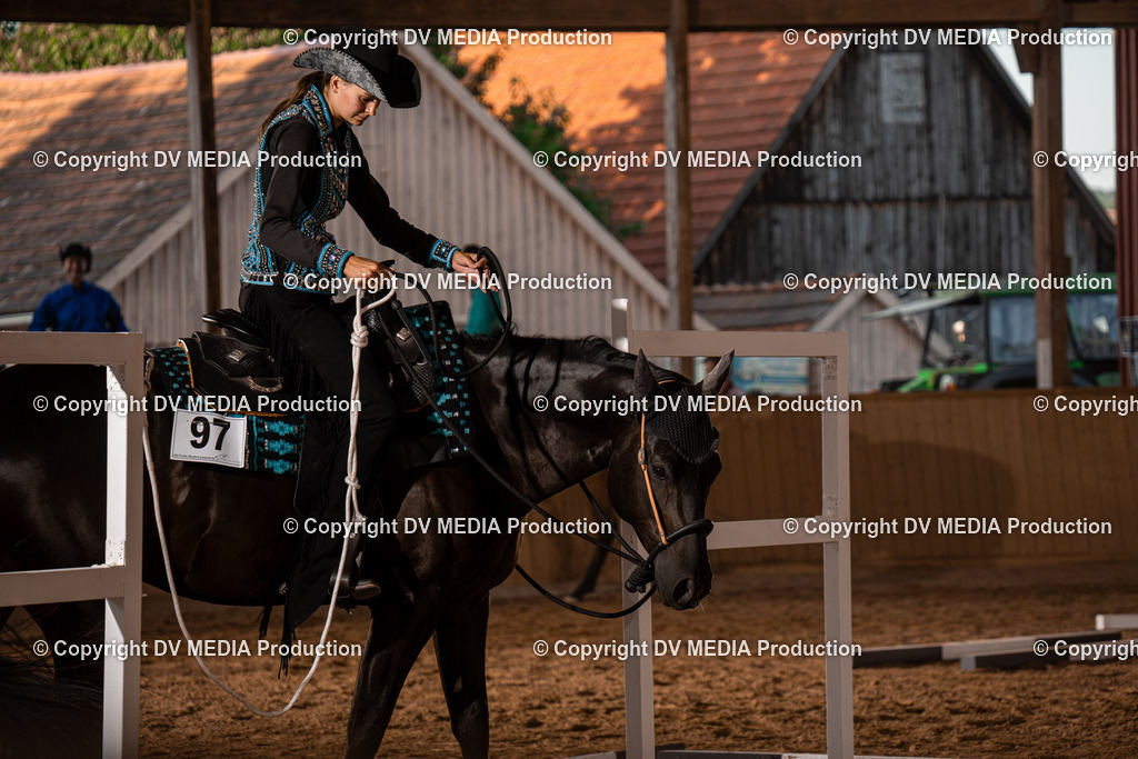 NE101317 | dv-media-shop - Realisiert mit Pictrs.com