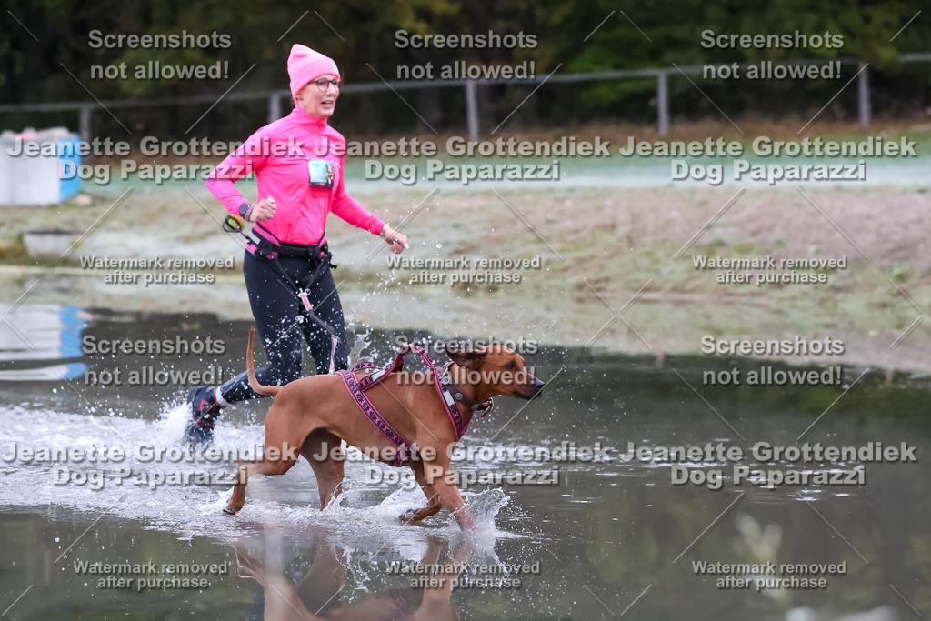 Dog Paparazzi - Strongdog 10-25-6065 | Dog Paparazzi Jeanette Grottendiek Fotografie & Videografie - Realisiert mit Pictrs.com