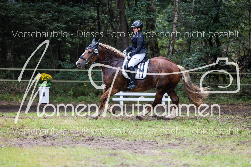 HB-Reiter-WB-070 | MomenTaufnahmen Pferdesportfotos