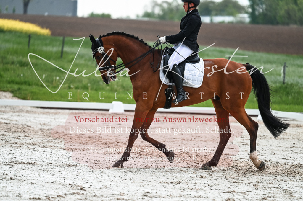 DSC_4374 | Pferde- und Turnierfotografie in Westsachsen. Pferdeportraits, Auftragszeichnungen und intuitive Kunst.
