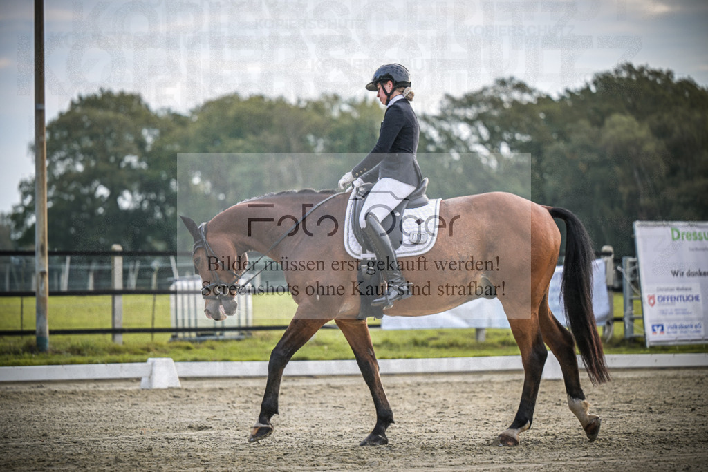 DOS_4255 | Entdecke hochwertige Reitturnierfotos von Foto Oger. Professionell, emotional und authentisch – jetzt Lieblingsmomente im Shop bestellen.Deutschlandweite Turnierfotografie. - Realisiert mit Pictrs.com