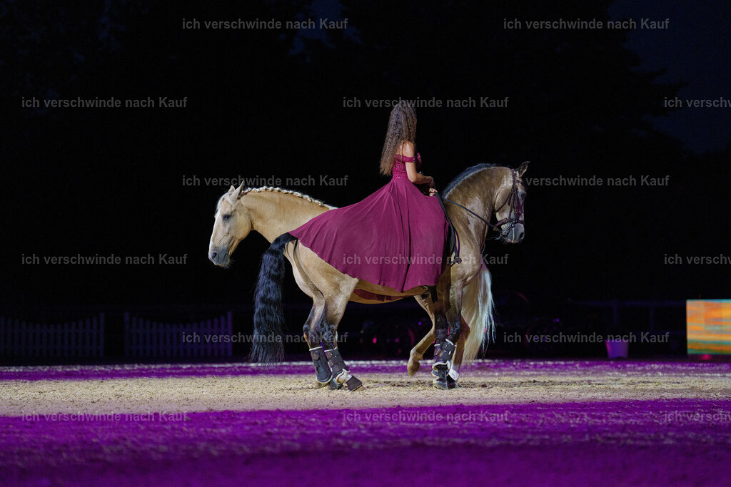 Gala-101 | working equitationturnier fotograf videograf stoibphotography marixx film working equitation deutschland reitsport turnierfotografie eventfotografie equestrian events