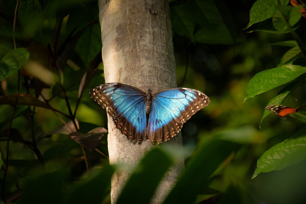 HFG_4269-Bearbeitet | Holzisphotography, Landschaftsfotografie, Wildlifefotogorafie - Realisiert mit Pictrs.com