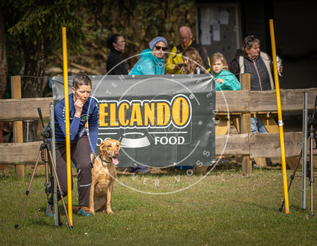 Pfotenfotografie_DV3A9266 | Hundefotografie, Tierfotograf, Pfotenfotografie, Fotoshooting Hund, Hunde Portrait, Hundesport, Hundeportraits, Heideshooting, Hunde, Sportfotograf, Hundefotograf, Turnierhundsport, THS,  - Realisiert mit Pictrs.com