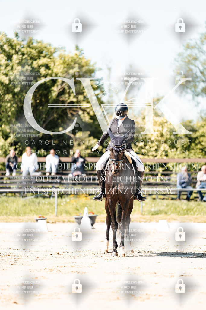 CK905007 | Turnierfotografie Pferdefotografie Trier Rheinland-Pfalz Pferdesport Reitsport Tierfotografie Sportfotografie Pferdevideo Pferdevideografie Equestrianvideography equestrianphotography  - Realisiert mit Pictrs.com