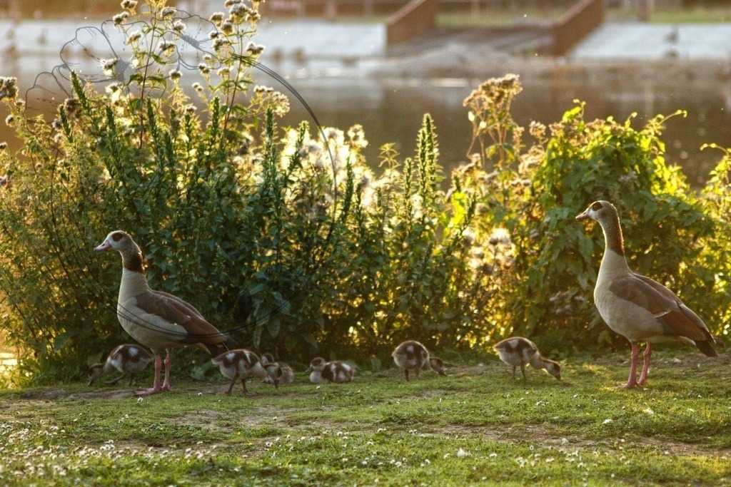 IMG_6662-01 | only.this.little.world - Realisiert mit Pictrs.com