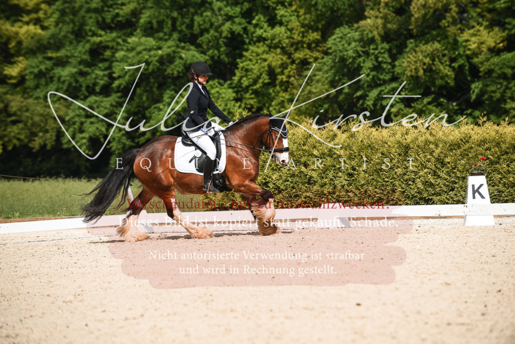 20230518_JK-Röhrsdorf-12-0281 | Pferde- und Turnierfotografie in Westsachsen. Pferdeportraits, Auftragszeichnungen und intuitive Kunst.