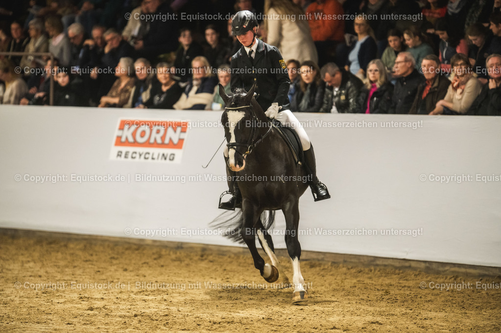 20240302_Hengstvorstellung_Marbach_TOMsPiC_0727 | equistock