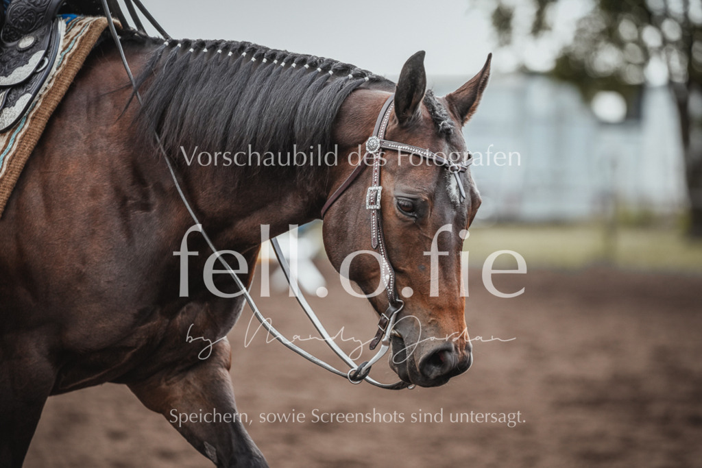 fell.o.fie_mandyjordan_2024_06_01551 | Mandy Klecke Fellfotografie, fell.o.fie Fotografenshop - Realisiert mit Pictrs.com