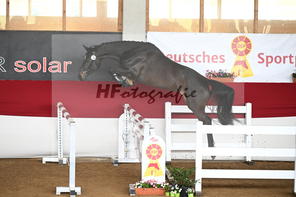 Kat-Nr. 23 Celina v. Chubakko_Ostermann_9240527 | hf-fotografie - Realizzato con Pictrs.com