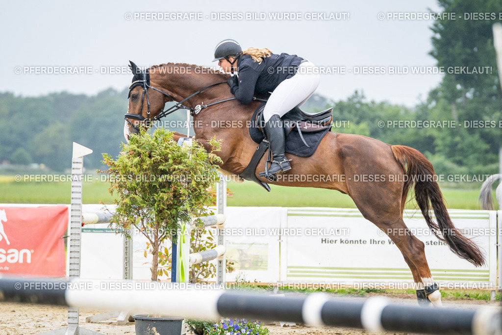 DSC01646 | Pferdegrafie