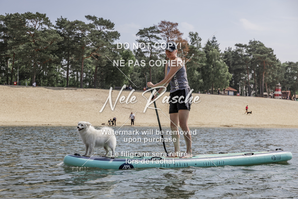 BUHU_SUP_664 | nelerasche