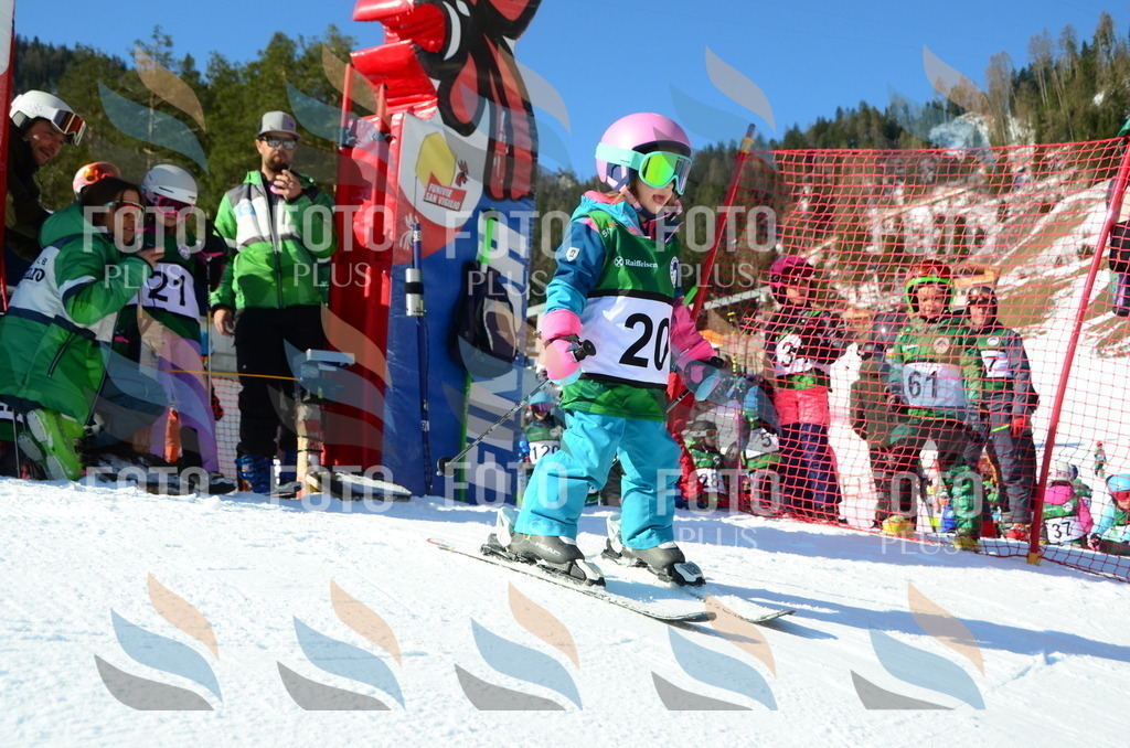 C4731 | holidayphoto