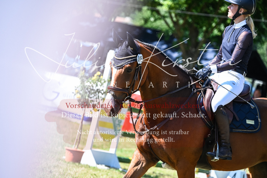 DSC_1602 | Pferde- und Turnierfotografie in Westsachsen. Pferdeportraits, Auftragszeichnungen und intuitive Kunst.