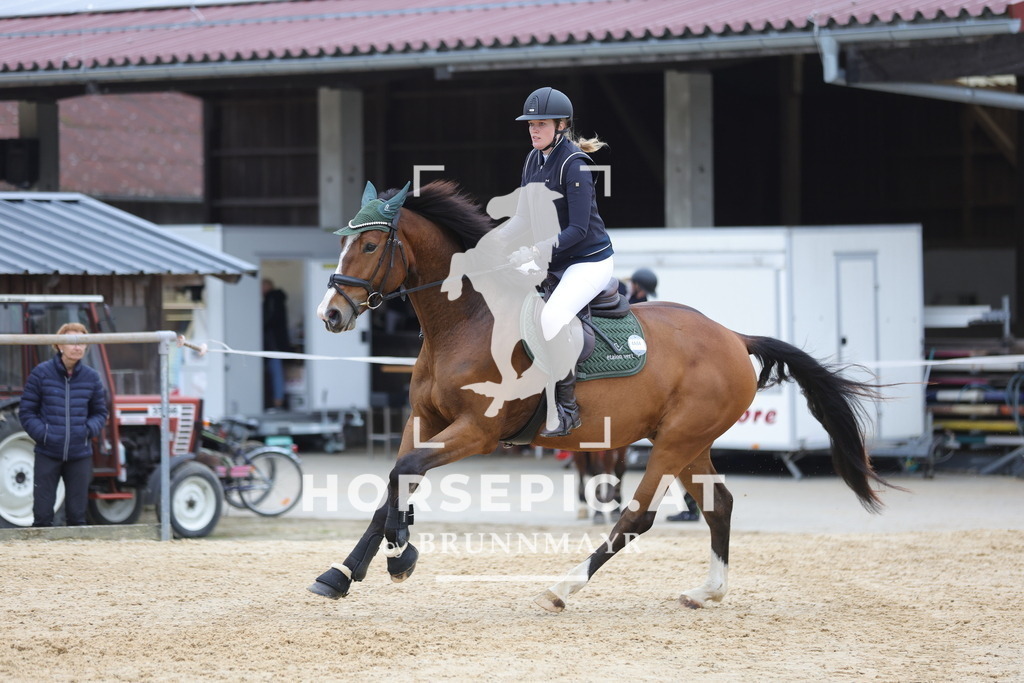 0P6A1671 | Willkommen bei Brunnmayr - Design & Fotografie – Ihrem Spezialisten für Reitturniere und Pferdeveranstaltungen in Oberösterreich, Salzburg und Bayern! Seit über 17 Jahren sind wir leidenschaftlich dabei.