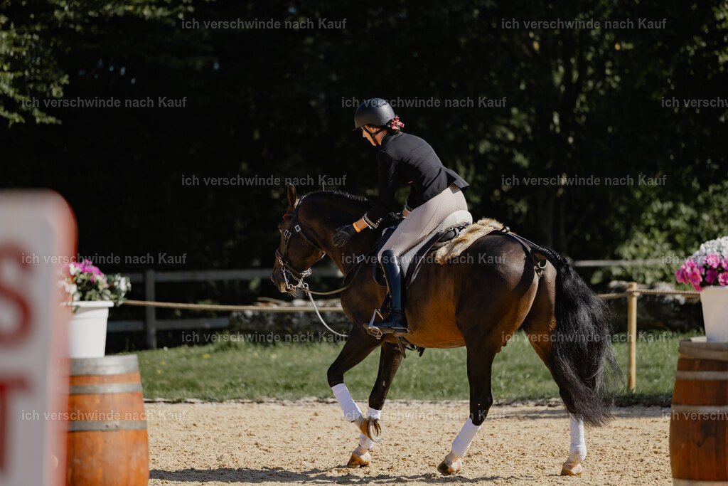 Virginie12FHC2025-27653 | working equitationturnier fotograf videograf stoibphotography marixx film working equitation deutschland reitsport turnierfotografie eventfotografie equestrian events