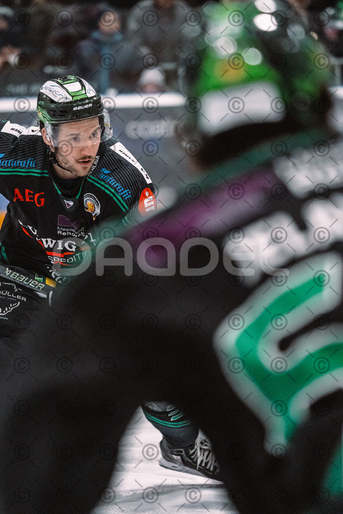 Alligators_vs_Peiting_04_01_2026-083 | Höchstadt Alligators Fotogalerie: Eishockey-Action aus Franken. Professionelle Spielfotos, Portraits & Stadionbilder zum Download. Jetzt entdecken! - Realisiert mit Pictrs.com