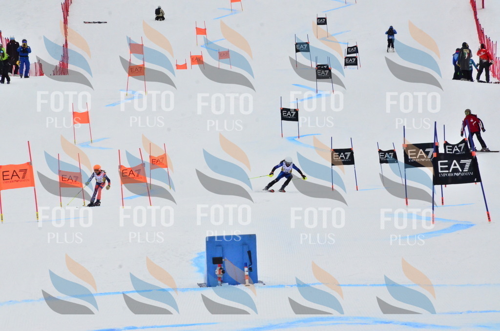 _ELE3604 | holidayphoto