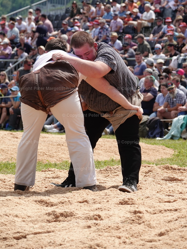 DSC06799 | Schwingen - Realisiert mit Pictrs.com