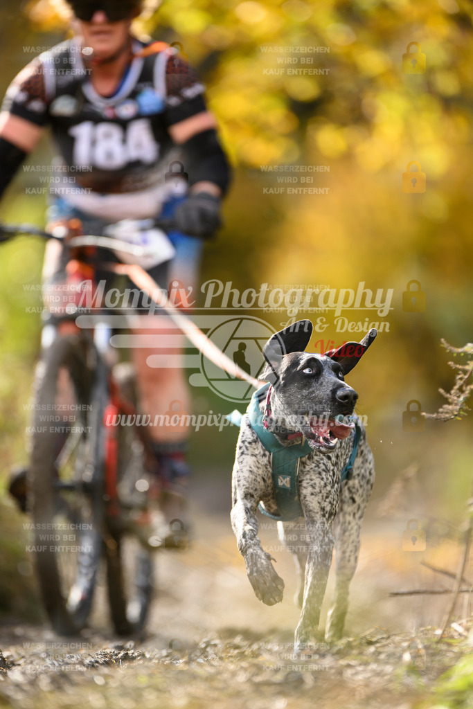 MompixPhotography_ICF_WC_2024_SA_Bike_-326 | PayLife