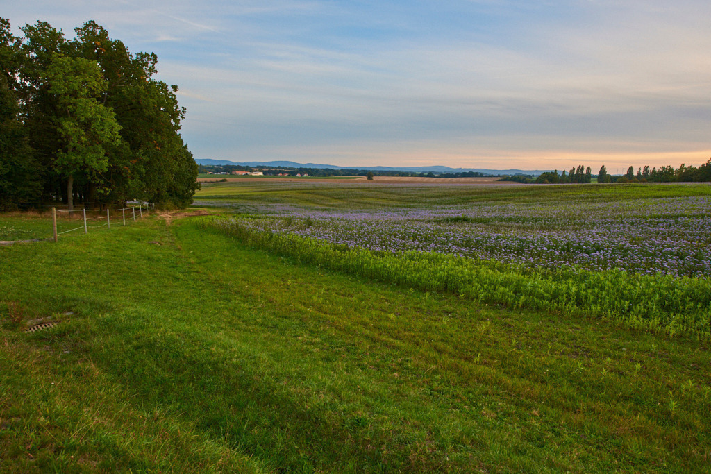 Blick von Storcha nach Dreikretscham 02 | Bedeutsame Landschaften Deutschlands - Realisiert mit Pictrs.com