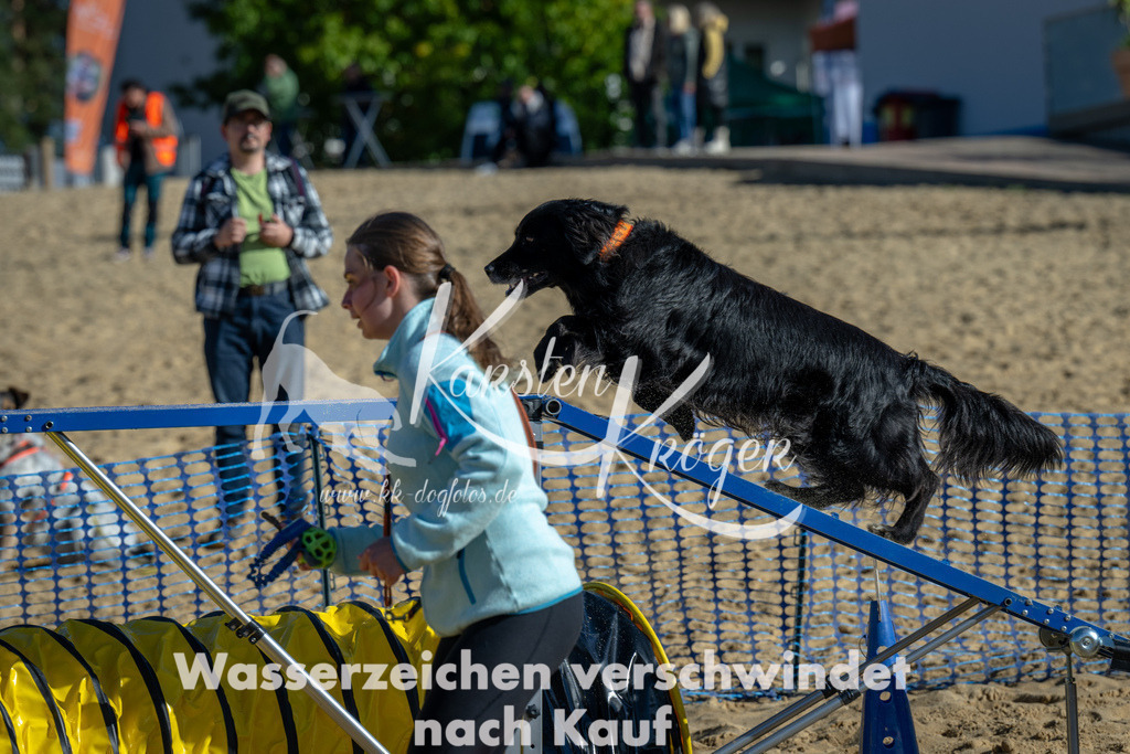 1130_ZZ91382 | kk-dogfotos