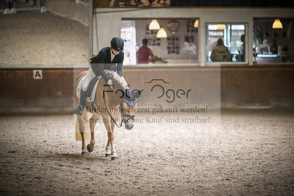 DOS_1281 | Entdecke hochwertige Reitturnierfotos von Foto Oger. Professionell, emotional und authentisch – jetzt Lieblingsmomente im Shop bestellen.Deutschlandweite Turnierfotografie. - Realisiert mit Pictrs.com