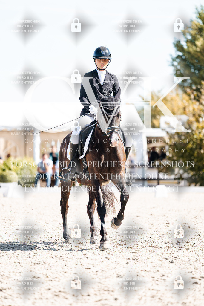 CK909506 | Turnierfotografie Pferdefotografie Trier Rheinland-Pfalz Pferdesport Reitsport Tierfotografie Sportfotografie Pferdevideo Pferdevideografie Equestrianvideography equestrianphotography  - Realisiert mit Pictrs.com