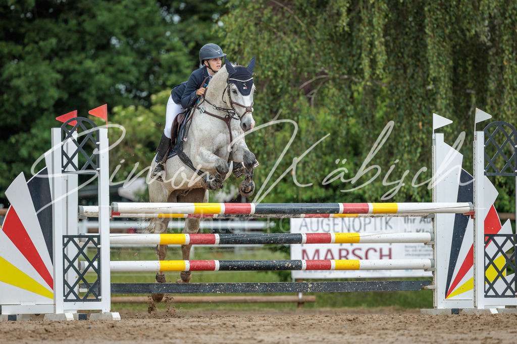 20260530-_3LI2703 | Tierfotografie Pferde, Hunde, Katzen, Haustiere.
Turnierfotografie Reitturniere, Reiten, Springreiten, Dressur in Hanau, dem Main-Kinzig-Kreis und dem Rhein-Main- Gebiet um Frankfurt