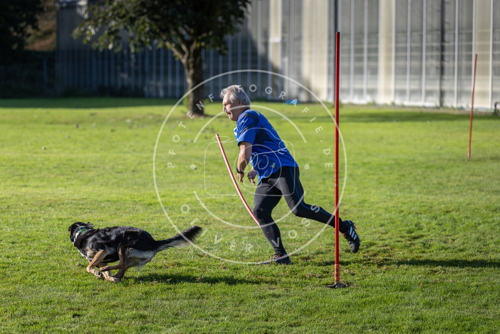 Pfotenfotografie.de_DV3A3345 | Hundefotografie, Tierfotograf, Pfotenfotografie, Fotoshooting Hund, Hunde Portrait, Hundesport, Hundeportraits, Heideshooting, Hunde, Sportfotograf, Hundefotograf, Turnierhundsport, THS, canicross - Realisiert mit Pictrs.com