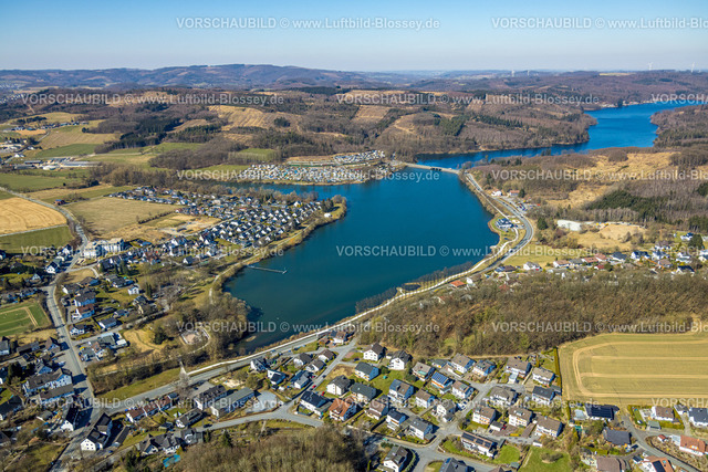 Sundern250304342 | Luftbild, Sorpesee, Vorbecken Amecke und Seestraße Damm, Waldgebiet mit Waldschäden, Amecke, Sundern, Sauerland, Nordrhein-Westfalen, Deutschland