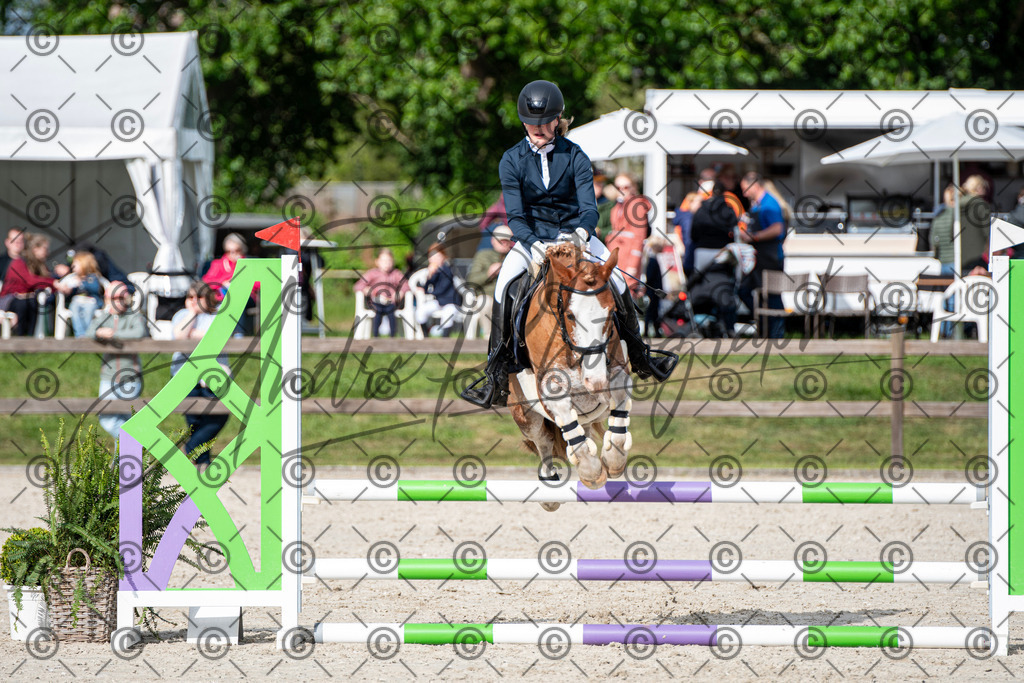 KPT_6759 | andre_photographic